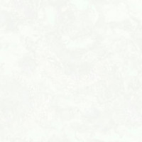 Обои 8810-20 (6) винил. горячего тиснения на флиз. основе 1,06*10,05 Veneciano WallSecret Comfort