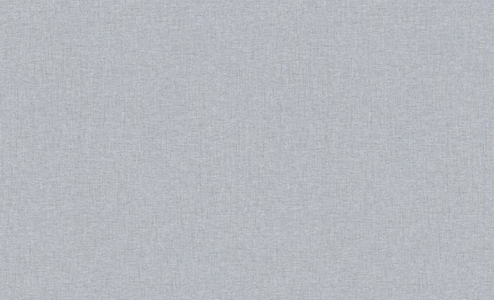 Обои 60989-05 (6) винил.горячего тиснения на флиз. основе 1,06*10,05 Basic Skandi Erismann