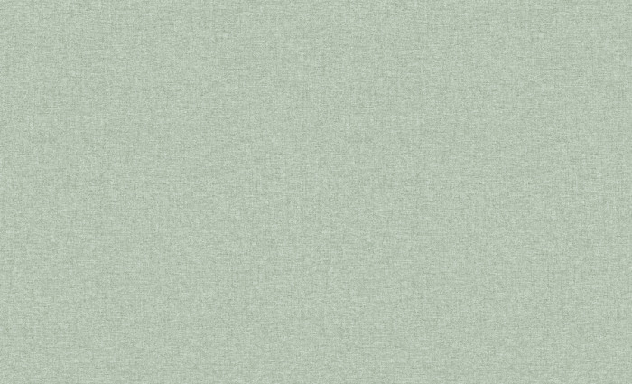 Обои 60989-08 (6) винил.горячего тиснения на флиз. основе 1,06*10,05 Basic Skandi Erismann