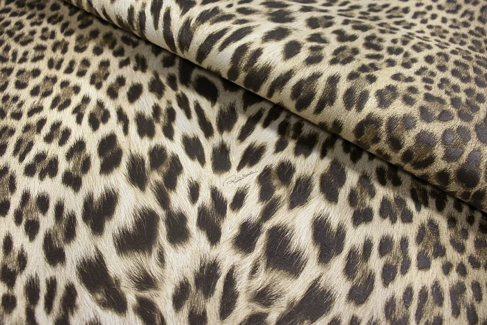Обои Roberto Cavalli Roberto Cavalli №9 21041