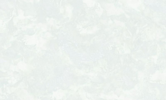 Обои 8810-26 (6) винил. горячего тиснения на флиз. основе 1,06*10,05 Veneciano WallSecret Comfort