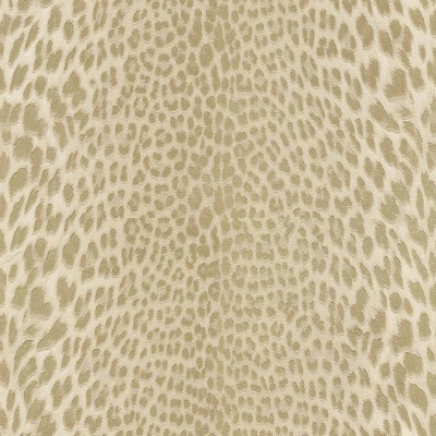 Обои Roberto Cavalli Roberto Cavalli №9 21043