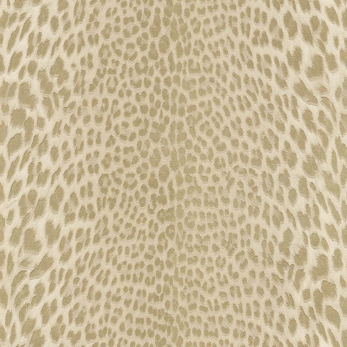 Обои Roberto Cavalli Roberto Cavalli №9 21043