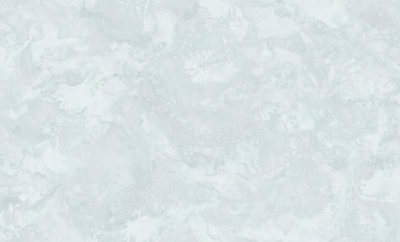 Обои 8810-29 (6) винил. горячего тиснения на флиз. основе 1,06*10,05 Veneciano WallSecret Comfort