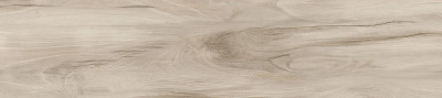 Керамогранит Эштон GFA92ATN40R 200x900