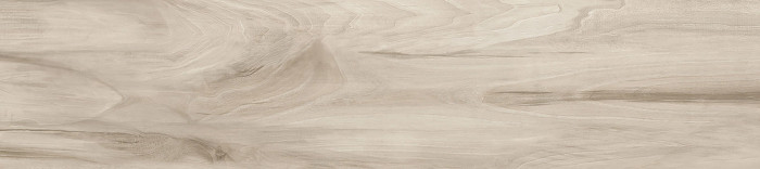 Керамогранит Эштон GFA92ATN40R 200x900