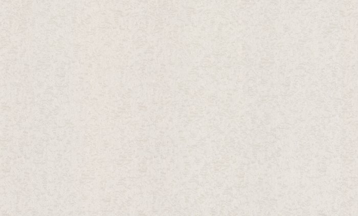 Обои 70541-12 (6) винил.горячего тиснения на флиз. основе 1,06*10,05 Долли Аспект