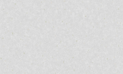 Обои 60884-03 (6) винил.горячего тиснения на флиз. основе 1,06*10,05 Benefit Techno Erismann