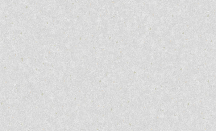 Обои 60884-03 (6) винил.горячего тиснения на флиз. основе 1,06*10,05 Benefit Techno Erismann