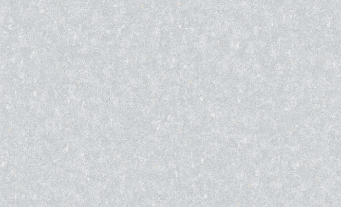 Обои 60884-04 (6) винил.горячего тиснения на флиз. основе 1,06*10,05 Benefit Techno Erismann
