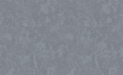 Обои 60995-06 (6) винил.горячего тиснения на флиз. основе 1,06*10,05 Benefit Mirabelle Erismann
