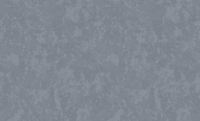 Обои 60995-06 (6) винил.горячего тиснения на флиз. основе 1,06*10,05 Benefit Mirabelle Erismann