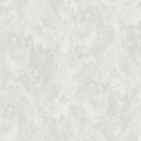 Обои Roberto Cavalli Roberto Cavalli №9 21059