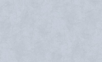 Обои 60677-04 (6) винил.горячего тиснения на флиз. основе 1,06*10,05 Nova Erismann