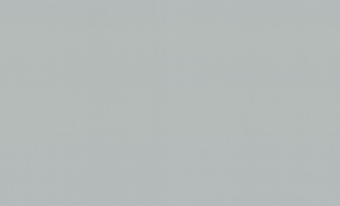 Обои HC72552-71 (8) винил.горячего тиснения на флиз. основе 1,06*10,05 Ultrachrome 3 HomeColor