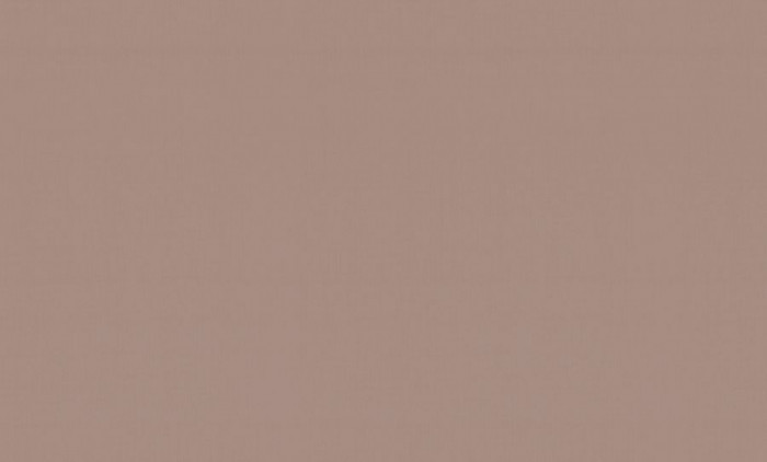 Обои PL72947-83 (6) винил.горячего тиснения на флиз. основе 1,06*10,05 Tropic Палитра