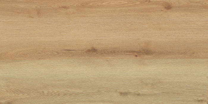 GT5010026902MCR Керамогранит Вуди Бежевый 50x100