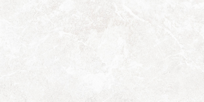 Плитка настенная Персей TWU2550PRS07 249x500