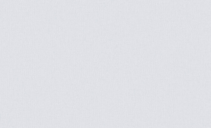 Обои 9121-01 (6) винил. горячего тиснения на флиз. основе 1,06*10,05 Mone WallSecret Basic
