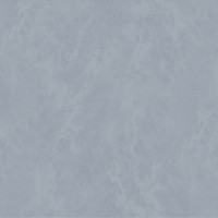 Обои 60885-05 (6) винил.горячего тиснения на флиз. основе 1,06*10,05 ER Absolute Erismann