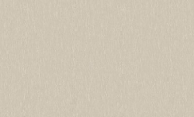 Обои 60499-04 (6) винил.горячего тиснения на флиз. основе 1,06*10,05  Basic Erismann