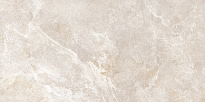 Плитка настенная Персей TWU2550PRS40 249x500