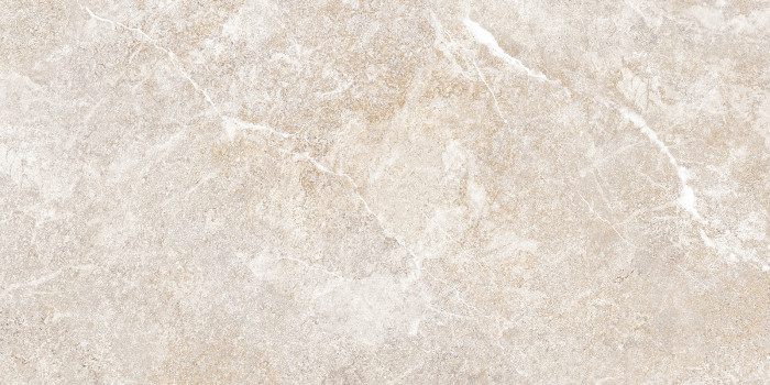 Плитка настенная Персей TWU2550PRS40 249x500