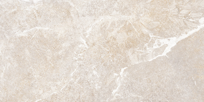 Плитка настенная Персей TWU2550PRS40 249x500
