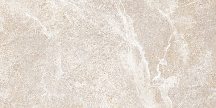 Плитка настенная Персей TWU2550PRS40 249x500