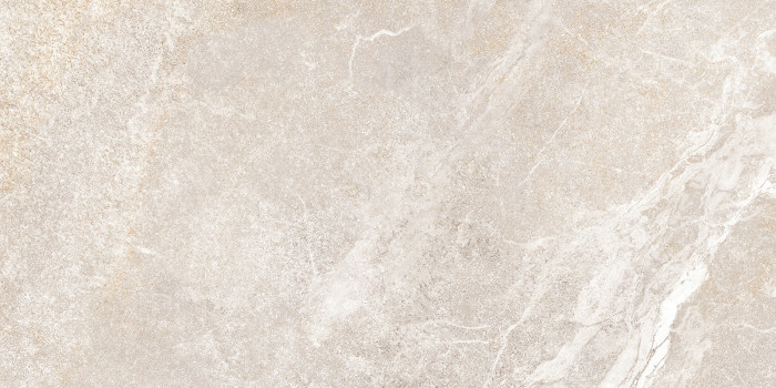 Плитка настенная Персей TWU2550PRS40 249x500