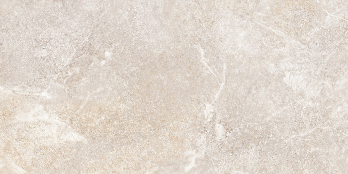 Плитка настенная Персей TWU2550PRS40 249x500