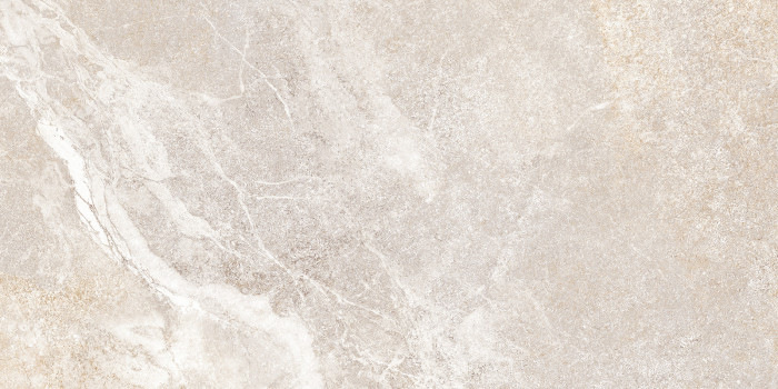Плитка настенная Персей TWU2550PRS40 249x500