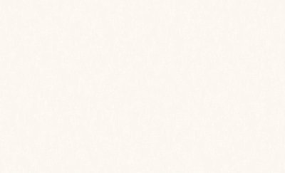 Обои 60588-02 (6) винил.горячего тиснения на флиз. основе 1,06*10,05  Basic Erismann