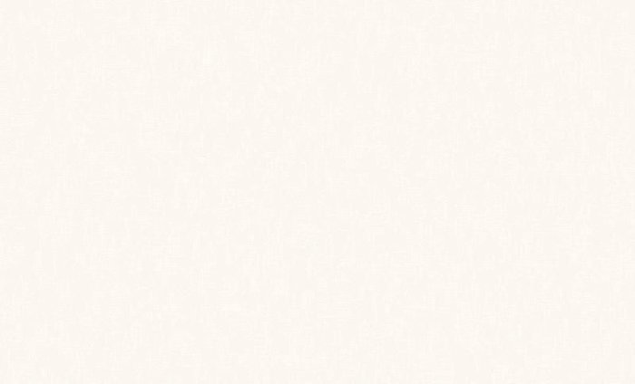 Обои 60588-02 (6) винил.горячего тиснения на флиз. основе 1,06*10,05  Basic Erismann