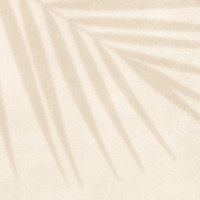 GT246VG Настенная плитка Dominica GT Бежевый 30x60 пальма