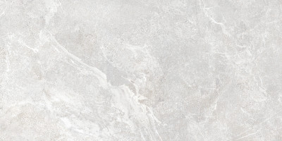 Плитка настенная Персей TWU2550PRS70 249x500