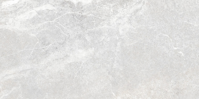 Плитка настенная Персей TWU2550PRS70 249x500