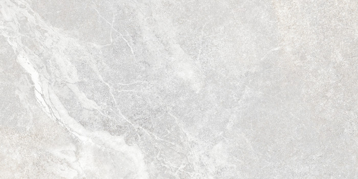 Плитка настенная Персей TWU2550PRS70 249x500