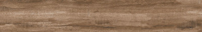Dogma Project Antibacterial Ottawa Notte Natural Rettificato 200x1200